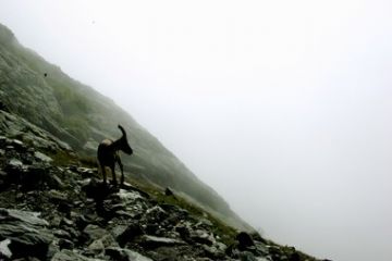 Foto di Giulio Pedretti