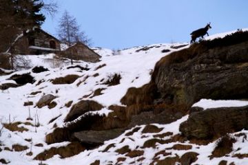 Foto di Diego Carisio