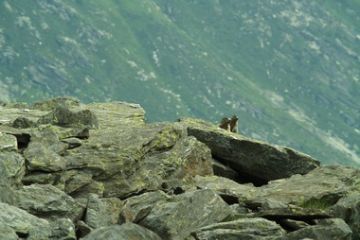 Foto di Diego Carisio