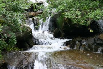 Foto di Diego Carisio