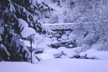 Foto di Marco Viotti