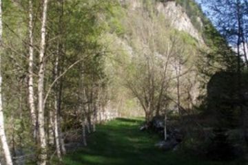 Foto di Marco Viotti